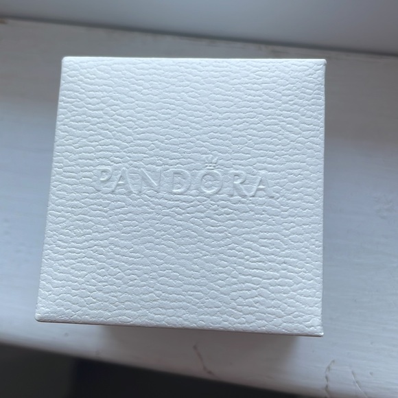 Pandora Sparkling Wine Bottle Dangle Charm - Picture 3 of 3